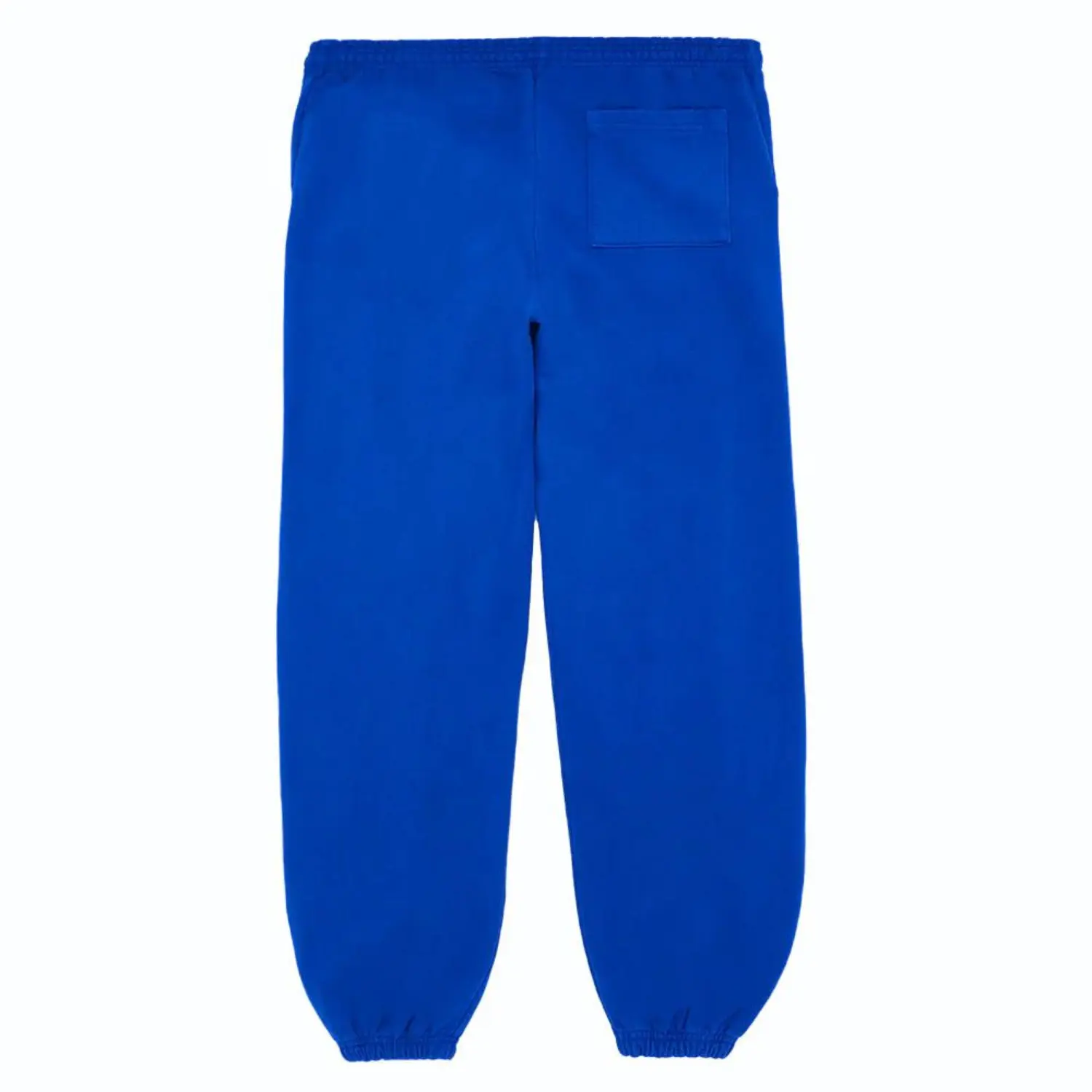 Spider Beluga Sweatpants Blue