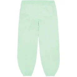 Spider SP5 Sweatpants Mint