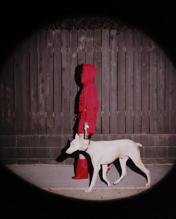 the spider shop hoodies